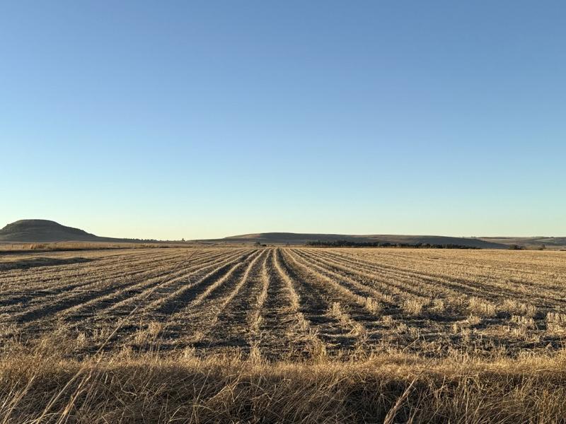 0 Bedroom Property for Sale in Warden Free State